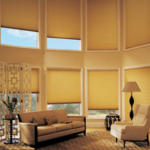 Shades shadings - shutters, custom, shutter, blinds, shades, window treatments, plantation, orlando, florida